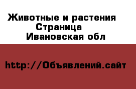  Животные и растения - Страница 4 . Ивановская обл.